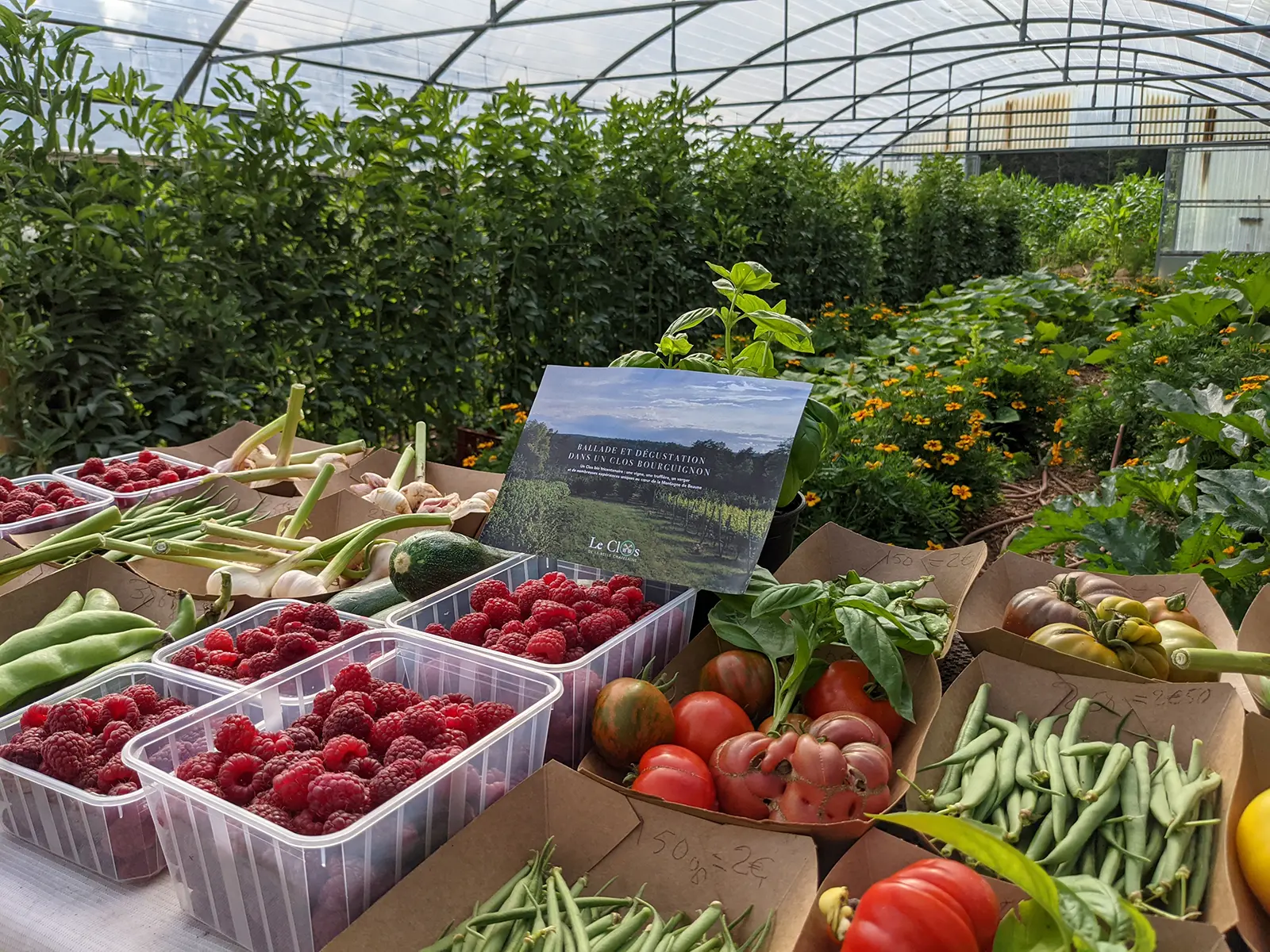 Trays of organic fruit and vegetables