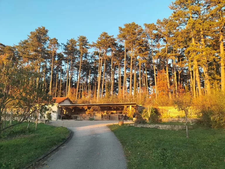 Un formidable coucher de soleil sur le CLOS