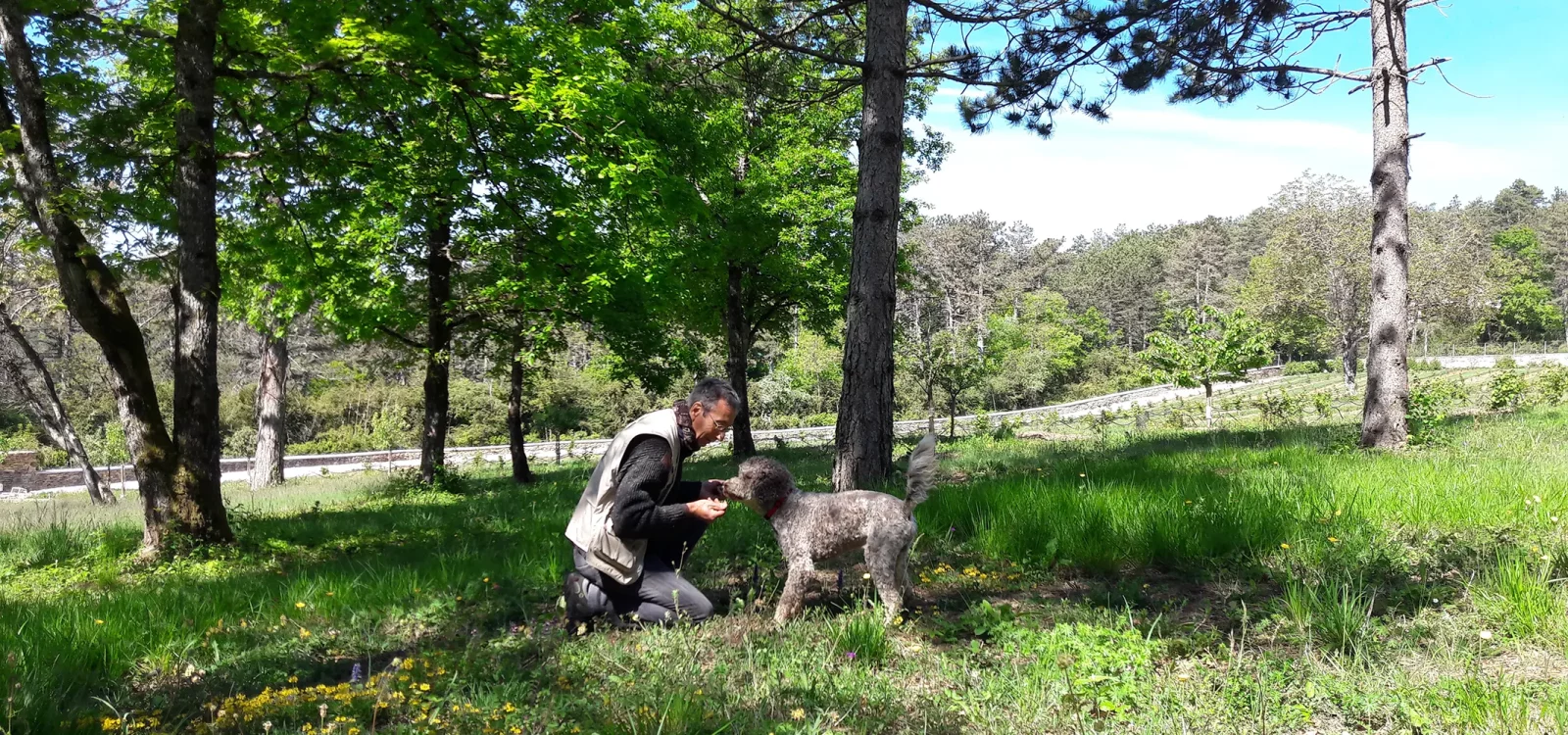 The truffles of Burgundy & Périgord